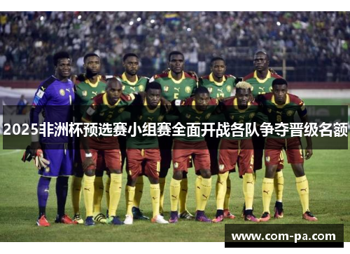 2025非洲杯预选赛小组赛全面开战各队争夺晋级名额
