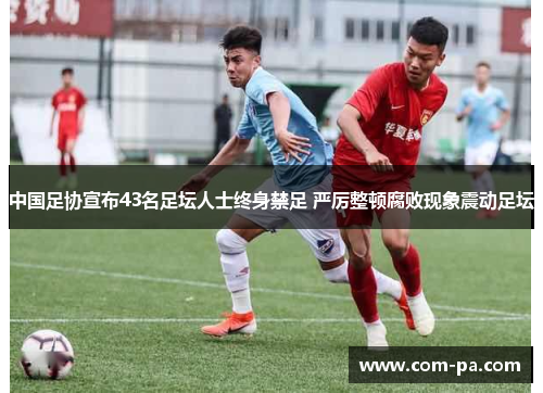 中国足协宣布43名足坛人士终身禁足 严厉整顿腐败现象震动足坛 中国足协宣布43名足坛人士终身禁足 严厉整顿腐败现象震动足坛